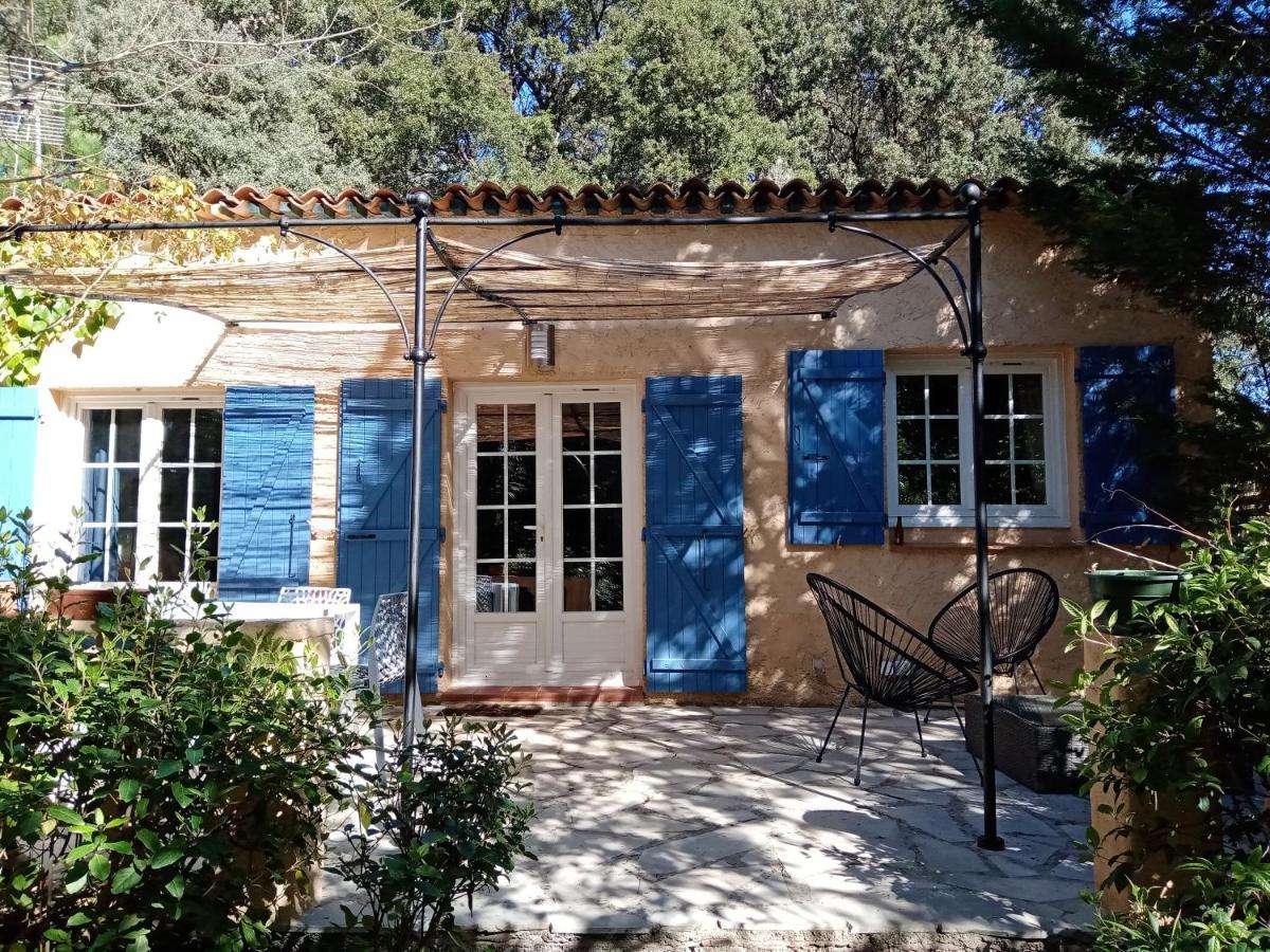 Au Mas Saint Pierre Hotell Pignans Eksteriør bilde