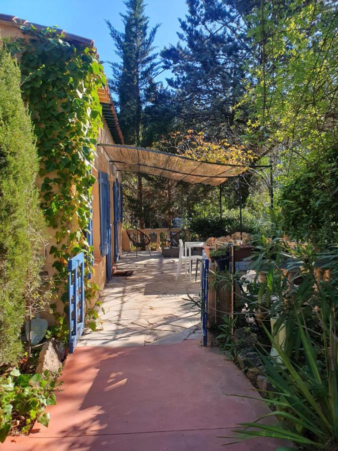Au Mas Saint Pierre Hotell Pignans Eksteriør bilde