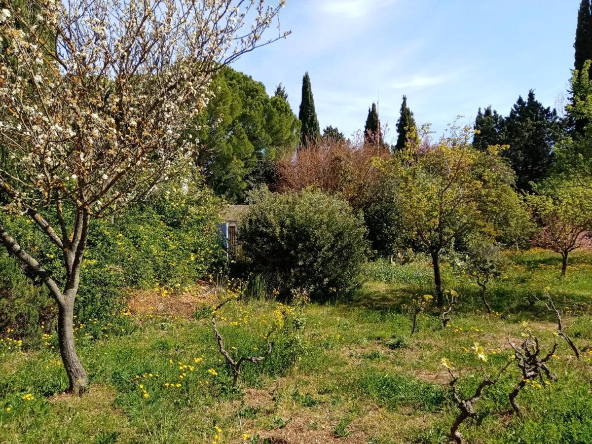Au Mas Saint Pierre Hotell Pignans Eksteriør bilde